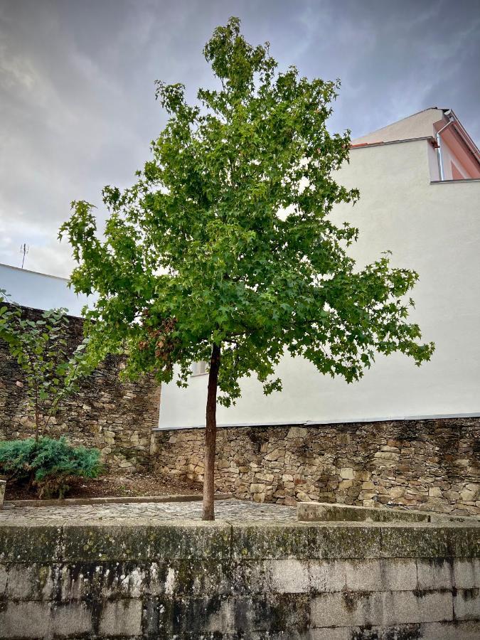 Cantinho Do Castelo Braganca Luaran gambar